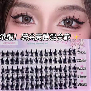 MJSP Single Cluster False Eyelashes Fake Eyelash Meng Jie Shang Pin 萌睫尚品单簇分段式假睫毛 小恶魔太阳花懒人三部曲女团