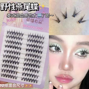 MJSP Single Cluster False Eyelashes Fake Eyelash Meng Jie Shang Pin 萌睫尚品单簇分段式假睫毛 小恶魔太阳花懒人三部曲女团