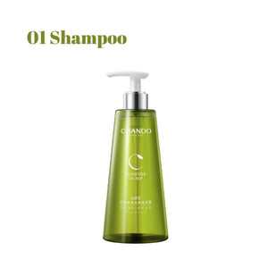 CHANDO Himalaya Scalp Care Oil Control and Comfort Treatment Shampoo 550ml 自然堂头皮护理控油舒爽去屑精润洗护系列 (550ml)