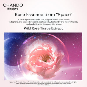 CHANDO Himalaya Pink Diamond Firming Delicate Rose Cream 55g 自然堂粉钻紧致细嫩玫瑰霜 55g