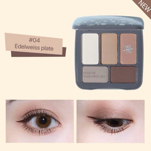 AMORTALS Korea Four Season Eyeshadow Palette Amortals 韩国尔木萄四季流转五色眼影盘