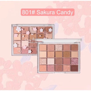 HOLD LIVE Night Sakura 20 Shades Eyeshadow Palette Holdlive 晚樱舞曲20色眼影盘