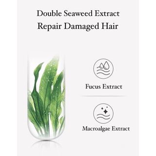 KIMTRUE Repair Hair Mask with Macrocystis Pyrifera 巨藻深润滋养发膜