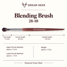 Dream Deer Blending Brush — Professional Series 28-10 — measurements