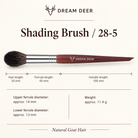 Dream Deer Shading Brush — Professional Series 28-5 — measurements