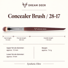Dream Deer Concealer Brush — Professional Series 28-17 — measurements