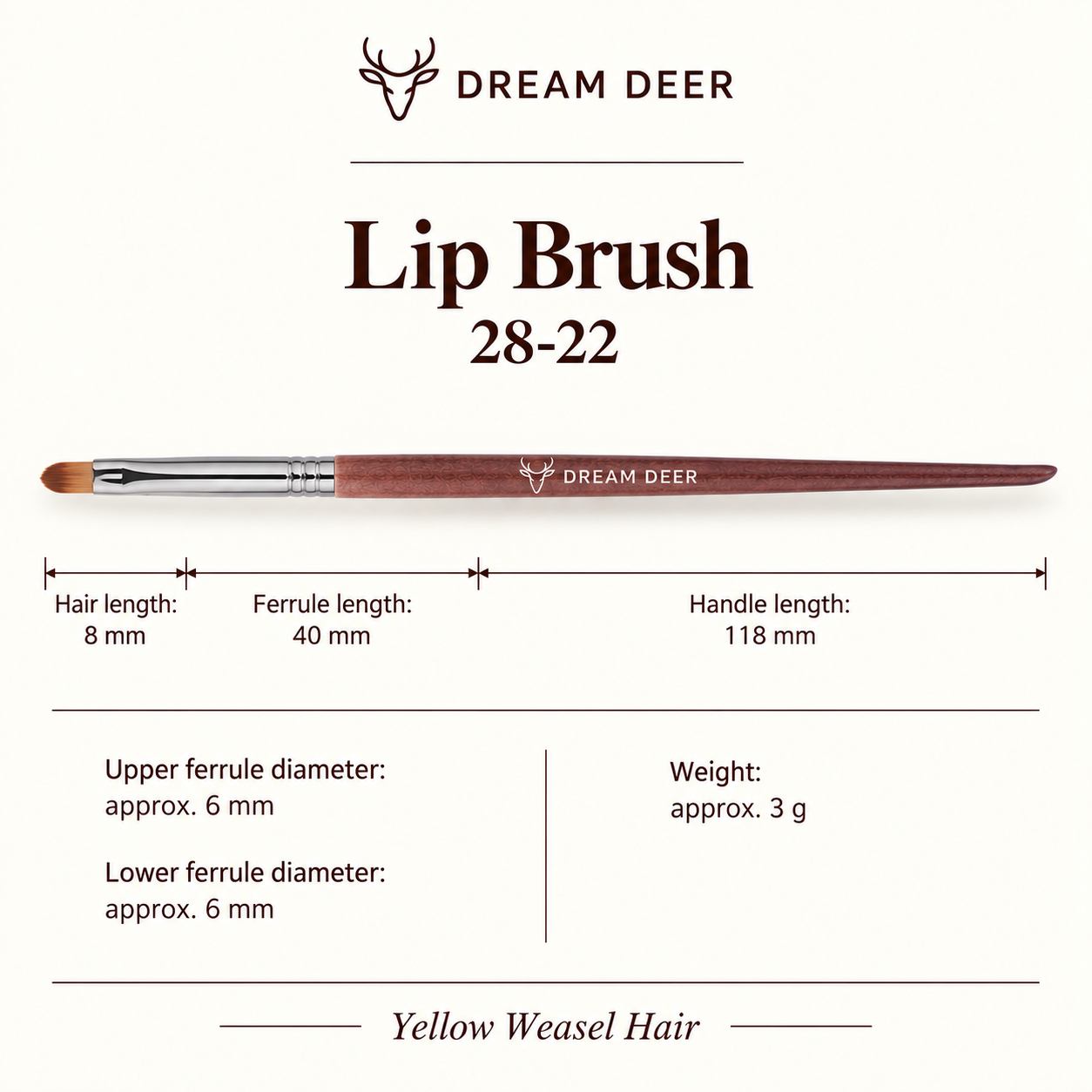 Dream Deer Lip Brush — Professional Series 28-22 — measurements