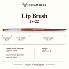 Dream Deer Lip Brush — Professional Series 28-22 — measurements