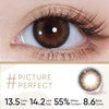 MOODY Moody Classic - 1-Day (10pcs) Picture Perfect MOODY美瞳日抛经典系列胶片棕色