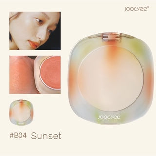 JOOCYEE Tortoise Shell Blush Retro Amber Blusher Joocyee