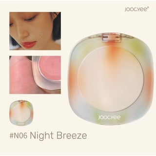 JOOCYEE Tortoise Shell Blush Retro Amber Blusher Joocyee