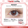MOODY Moody Classic - 1-Day (10pcs) Camellia Brown MOODY美瞳日抛经典系列山茶豆棕