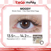 MOODY Moody Classic - 1-Day (10pcs) Velvet Foggy MOODY美瞳日抛经典系列绒雾灰
