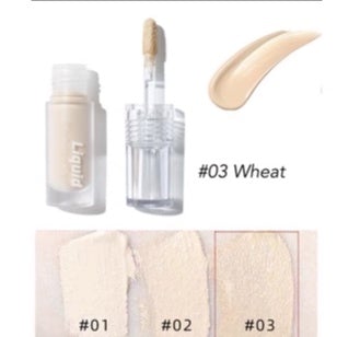 JILL LEEN Flawless Liquid Concealer Jillleen 无瑕滋润遮瑕液