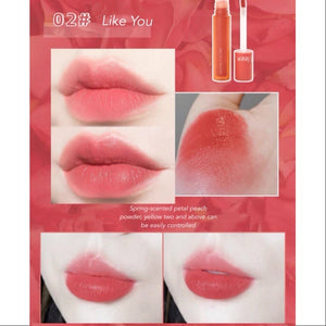 JILL LEEN Matte Velvet Lip Glaze Jillleen 雾色哑光丝绒唇釉