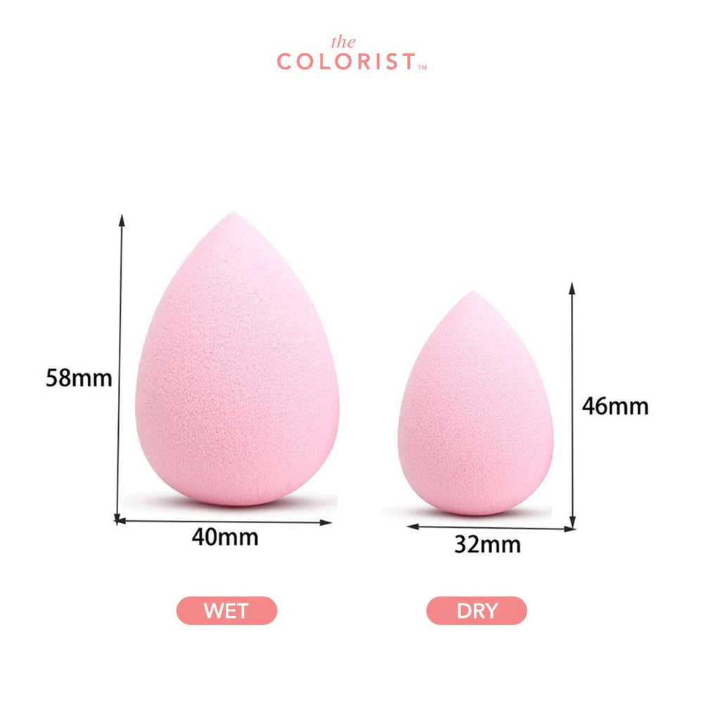 THE COLORIST Multi-Task Beauty Sponge Makeup Sponge