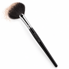 Dream Deer Highlight Fan Brush #190 texture and application